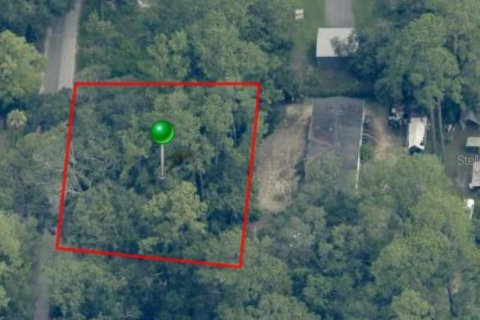 Land in Homosassa, Florida № 2099363 - photo 4