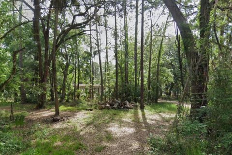 Land in Homosassa, Florida № 2099363 - photo 5