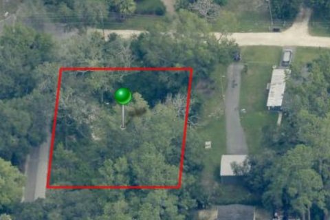 Land in Homosassa, Florida № 2099363 - photo 2