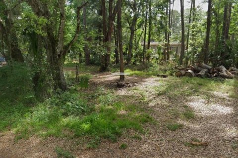 Land in Homosassa, Florida № 2099363 - photo 6