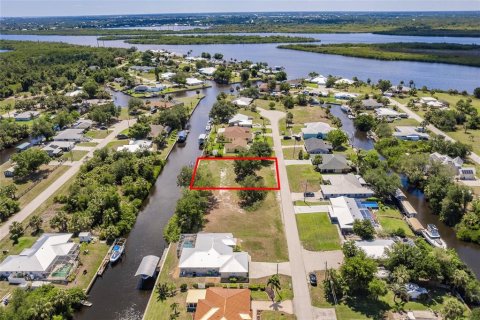 Land in Punta Gorda, Florida № 1688252 - photo 3