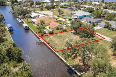 Land in Punta Gorda, Florida № 1688252 - photo 6
