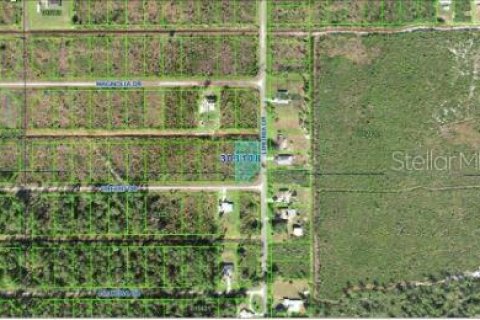 Terrain à vendre à Indian lake estates, Floride № 1750724 - photo 4