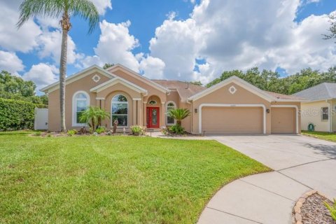 House in Valrico, Florida 4 bedrooms, 250.65 sq.m. № 2391725