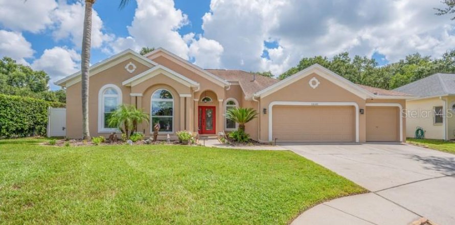 House in Valrico, Florida 4 bedrooms, 250.65 sq.m. № 2391725
