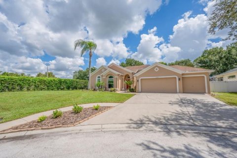 House in Valrico, Florida 4 bedrooms, 250.65 sq.m. № 2391725 - photo 3