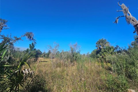 Terrain à vendre à DeBary, Floride № 2235179 - photo 2