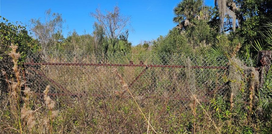 Terrain à DeBary, Floride № 2235179