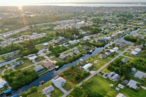 Terrain à Punta Gorda, Floride № 2107555