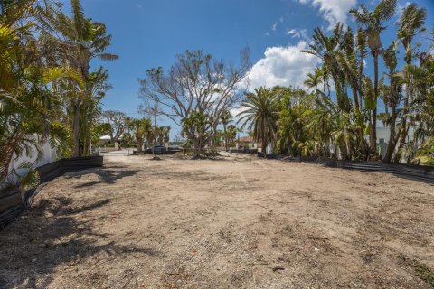 Land in Sarasota, Florida № 1663194 - photo 8