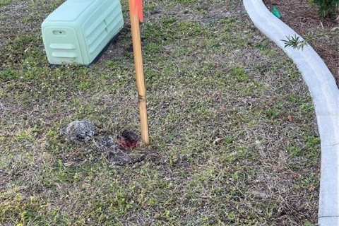 Land in Englewood, Florida № 2161848 - photo 2