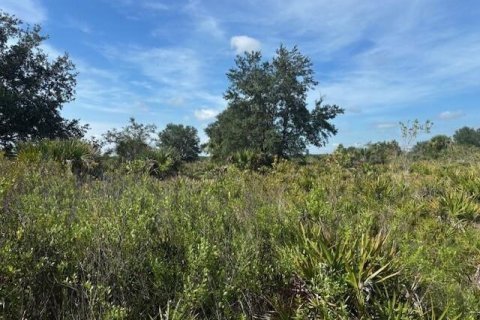 Immobilier commercial à Okeechobee, Floride № 2390133
