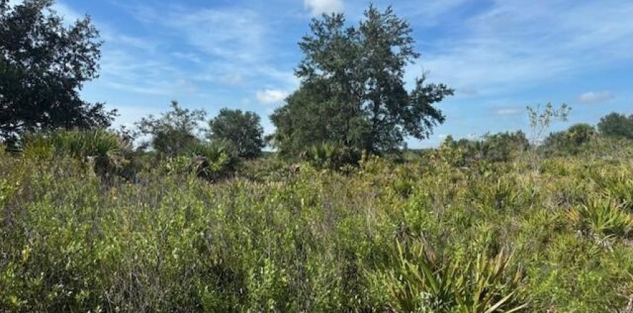 Immobilier commercial à Okeechobee, Floride № 2390133
