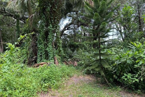 House in Tampa, Florida 2 bedrooms, 109.25 sq.m. № 1879703 - photo 4
