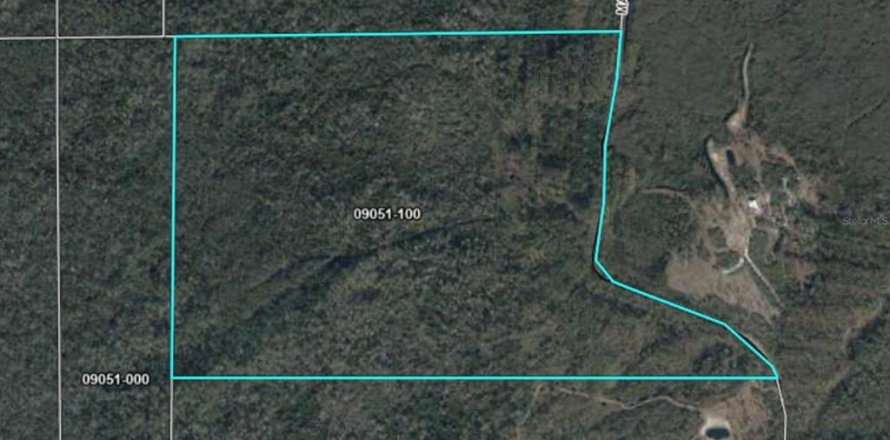Terrain à Perry, Floride № 2225240