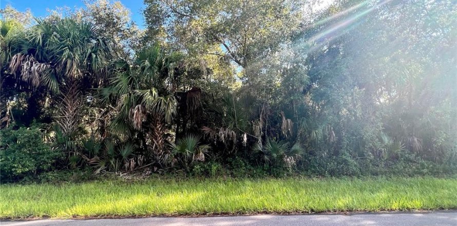 Land in Port Charlotte, Florida № 2159288