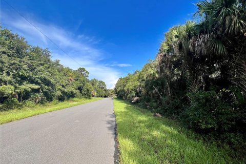 Land in Port Charlotte, Florida № 2159288 - photo 3