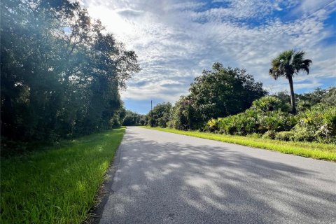Land in Port Charlotte, Florida № 2159288 - photo 2