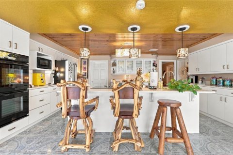 Купить виллу или дом в Лисбург, Флорида 3 комнаты, 449.55м2, № 2426039 - фото 30