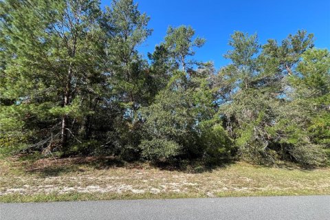 Land in Ocala, Florida № 1416232 - photo 3