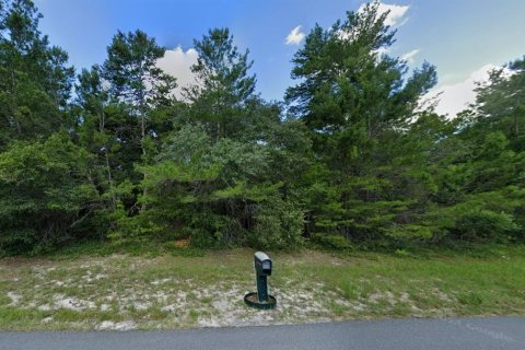 Land in Ocala, Florida № 1416232 - photo 9