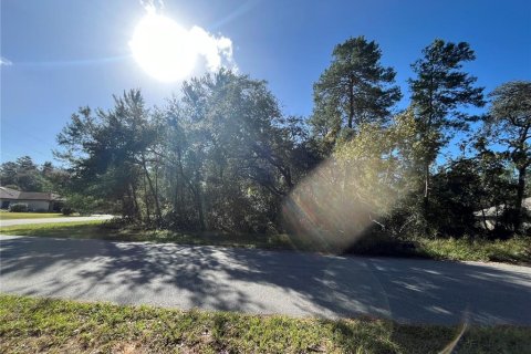 Land in Ocala, Florida № 1416232 - photo 5