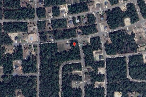 Land in Ocala, Florida № 1416232 - photo 8