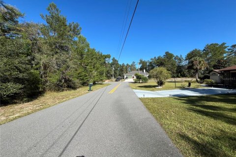 Land in Ocala, Florida № 1416232 - photo 6