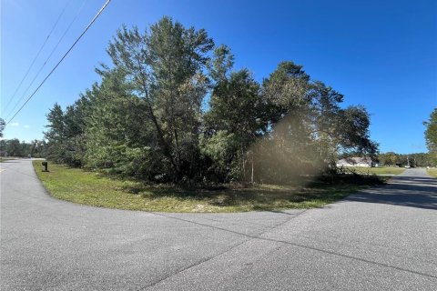 Land in Ocala, Florida № 1416232 - photo 2