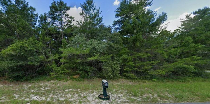 Land in Ocala, Florida № 1416232