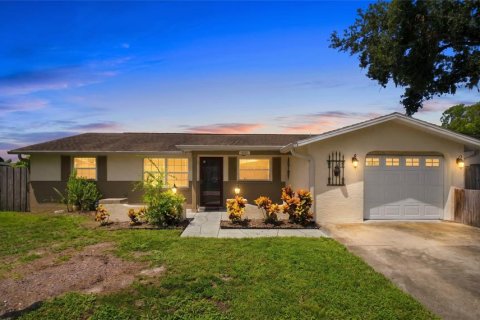 Villa ou maison à New Port Richey, Floride 3 chambres, 176.51 m2 № 2138604