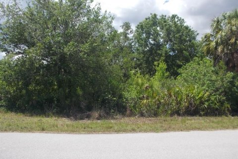 Land in Port Charlotte, Florida № 2214190 - photo 5
