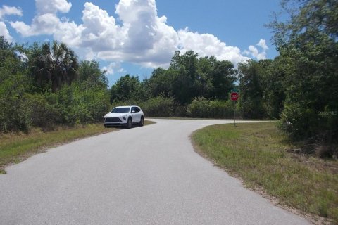 Land in Port Charlotte, Florida № 2214190 - photo 8