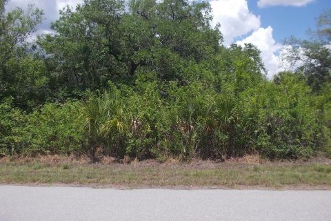 Land in Port Charlotte, Florida № 2214190 - photo 9