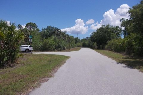Land in Port Charlotte, Florida № 2214190 - photo 12