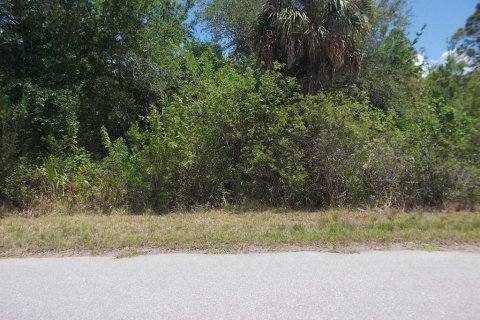 Land in Port Charlotte, Florida № 2214190 - photo 6