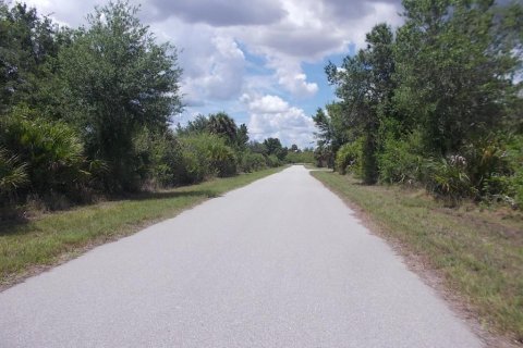 Land in Port Charlotte, Florida № 2214190 - photo 11