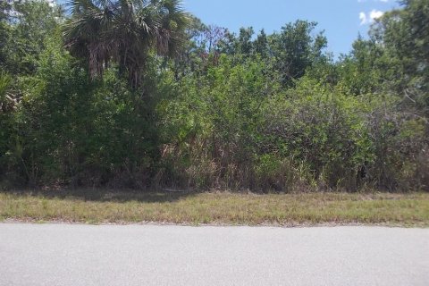 Land in Port Charlotte, Florida № 2214190 - photo 10