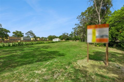 Land in Lake Mary, Florida № 2209537 - photo 4