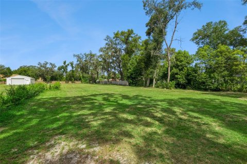 Land in Lake Mary, Florida № 2209537 - photo 3