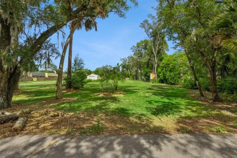 Land in Lake Mary, Florida № 2209537 - photo 2