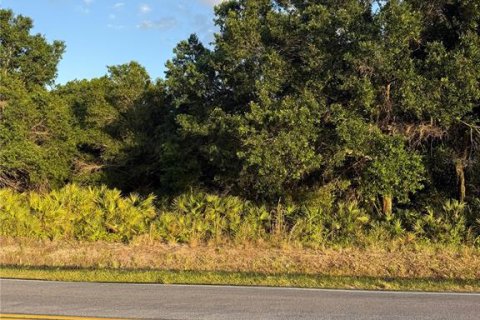 Land in Lake Wales, Florida № 2204362 - photo 2