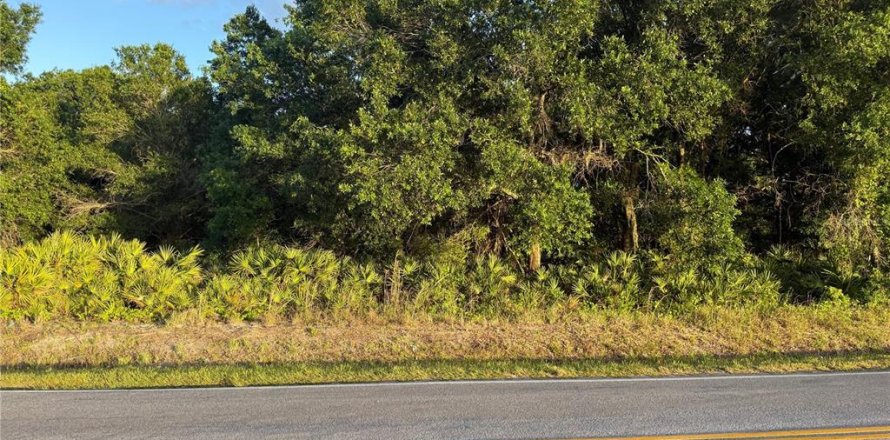 Land in Lake Wales, Florida № 2204362