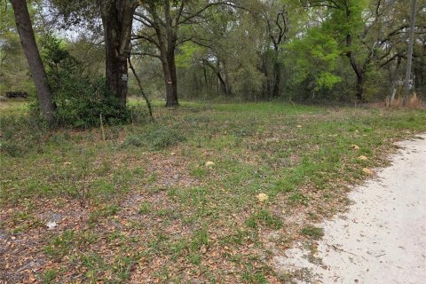 Terrain à vendre à Williston, Floride № 2233061 - photo 5