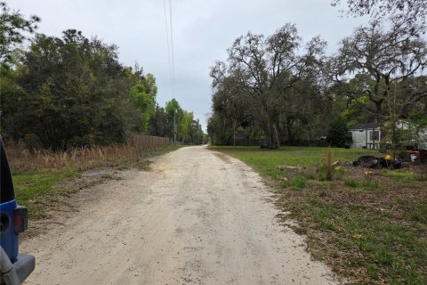 Terrain à vendre à Williston, Floride № 2233061 - photo 6