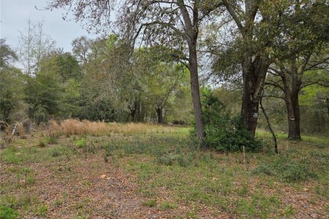 Terrain à vendre à Williston, Floride № 2233061 - photo 2