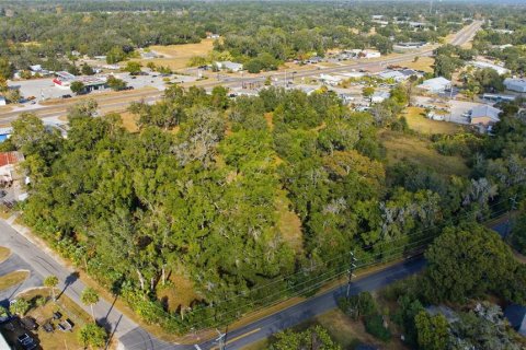 Terreno en venta en Ocala, Florida № 2129623 - foto 10