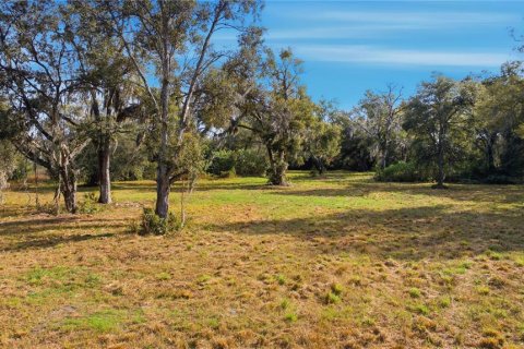 Terreno en venta en Ocala, Florida № 2129623 - foto 16