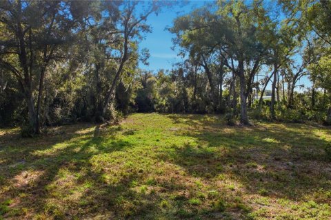 Terreno en venta en Ocala, Florida № 2129623 - foto 13