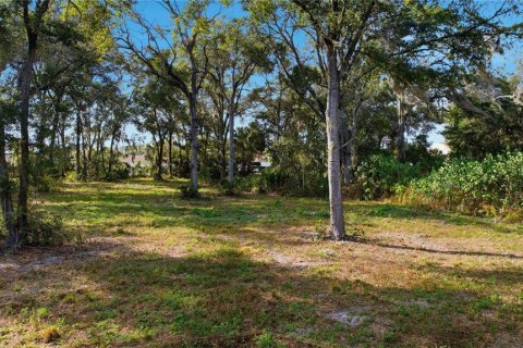 Terreno en venta en Ocala, Florida № 2129623 - foto 12